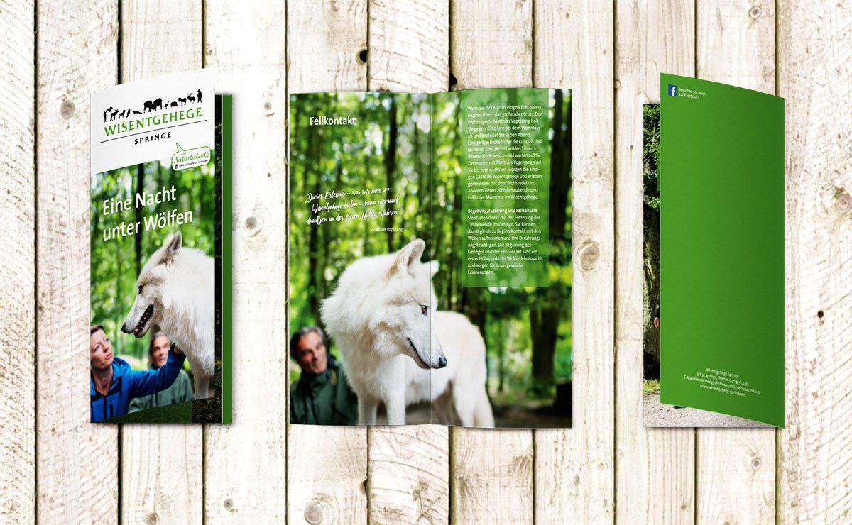 WUS_Wisentgehege_lead_Flyer Folder Wisentgehege Wolf