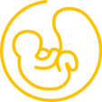 Icon Geburtshilfe