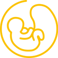 Geburtshilfe Icon Geburtshilfe