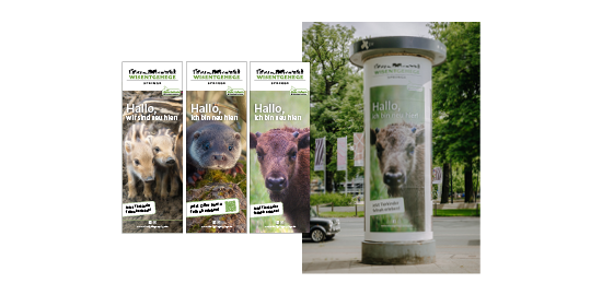Tierkinderkampagne für Out Of Home: Litfaßsäule am Zoo Hannover