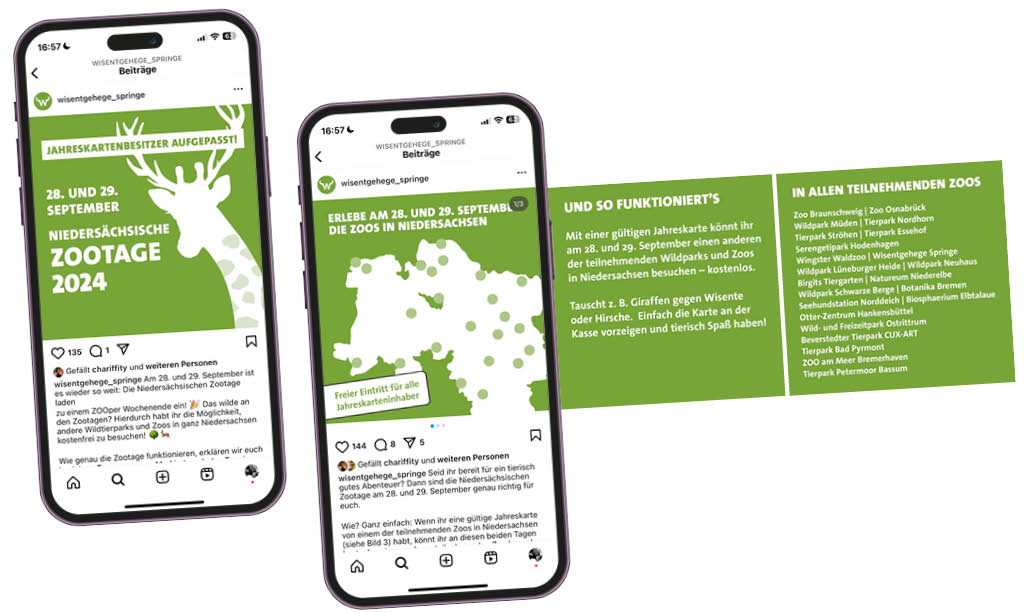 Niedersächsische Zootage 2024: Beitrag auf Instagram als Carousel mit allen wichtigen Informationen