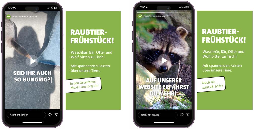 Social Media Stories zum Raubtierfrühstück im Wisentgehege