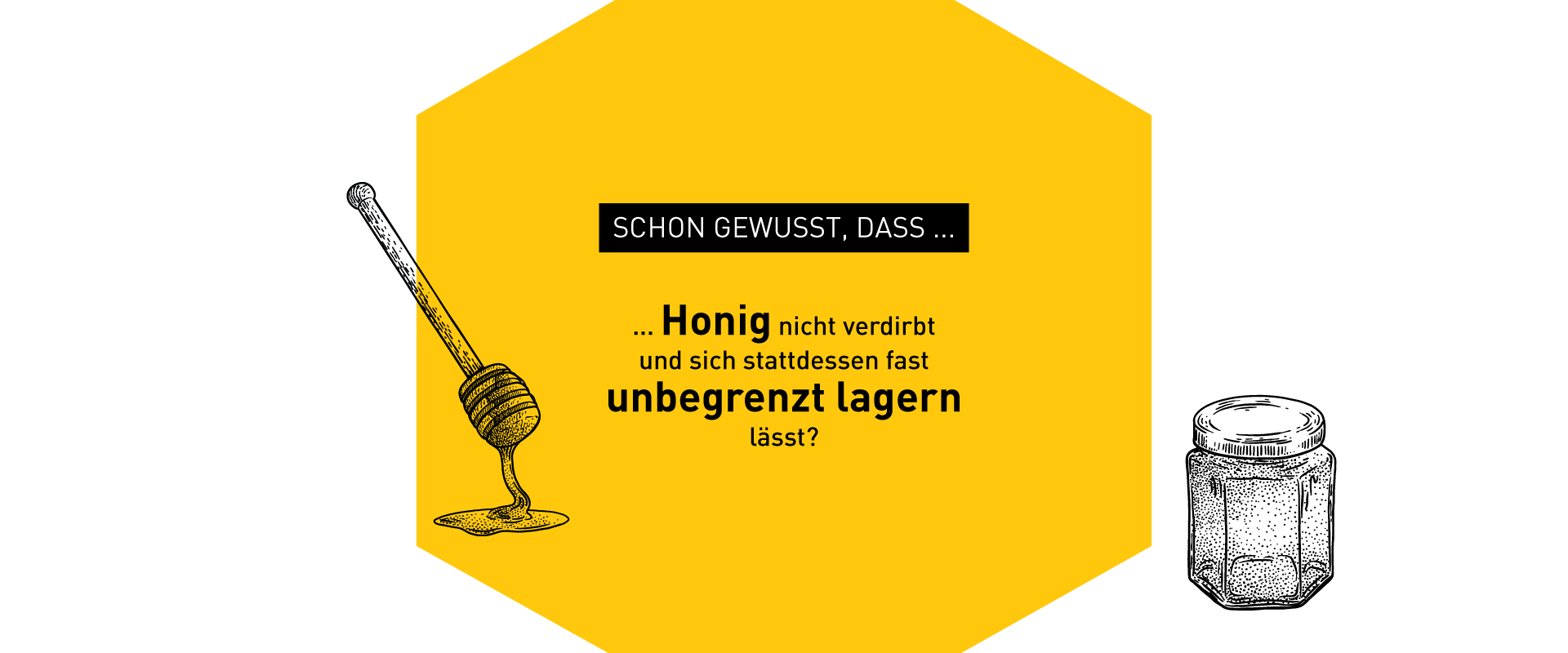 Illustration zu Bienen-Fakten – Windrich & Sörgel