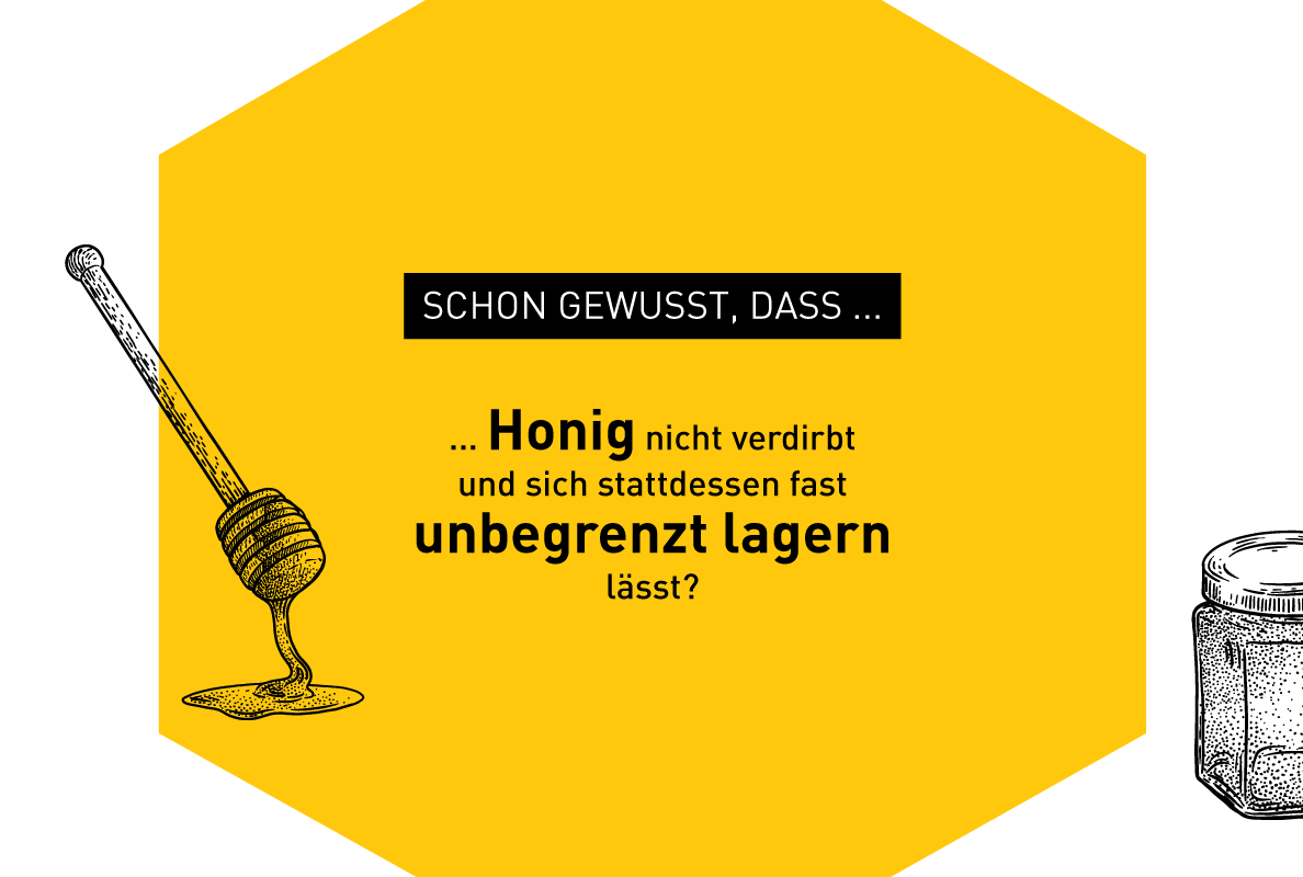 Illustration zu Bienen-Fakten – Windrich & Sörgel