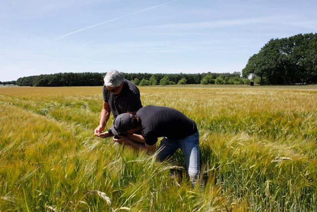 Fotografen auf dem Feld für Detailaufnahmen - Windrich & Sörgel