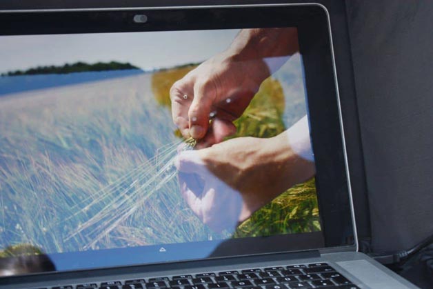 Detailaufnahme Hände, zu sehen auf einem Laptop - Windrich & Sörgel