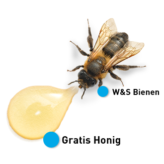 Biene mit Honigtropfen | Windrich & Sörgel